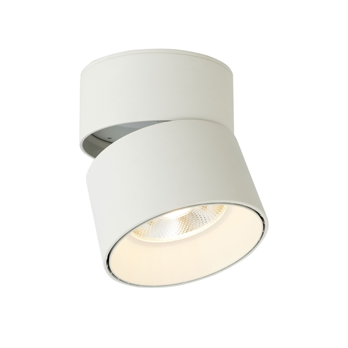 Rotating and Pivoting Spotlight - Image 4